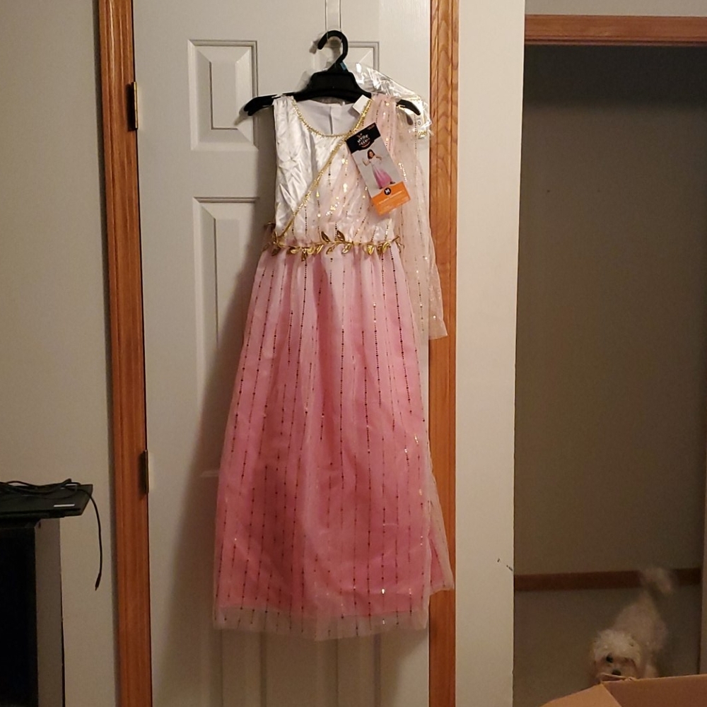 Golden Goddess costume